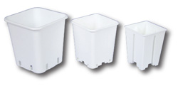 White Square Plastic Pots - Medium