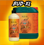 Bud-XL
