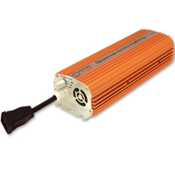 Quantum 600 Watt E Ballast